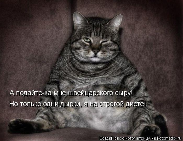 Котоматрица: А подайте-ка мне швейцарского сыру! Но только одни дырки, я на строгой диете!