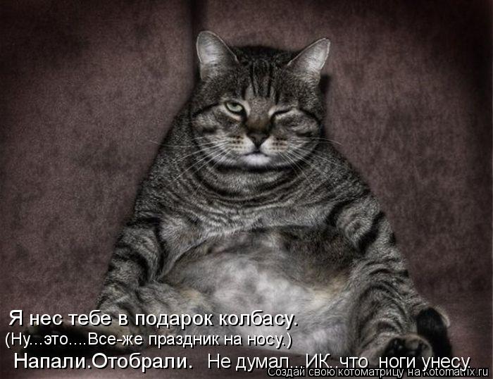 Котоматрица: Я нес тебе в подарок колбасу. (Ну...это....Все-же праздник на носу.) Напали.Отобрали. Не думал...ИК..что  ноги унесу.