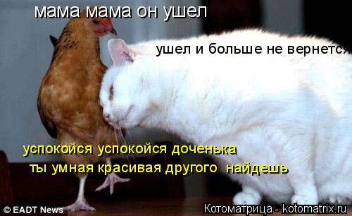 Котоматрица: мама мама он ушел ушел и больше не вернется... успокойся успокойся доченька ты умная красивая другого  найдешь