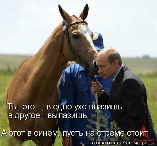 Котоматрица: Ты, это..., в одно ухо влазишь, в другое - вылазишь... А этот в синем, пусть на стреме стоит.