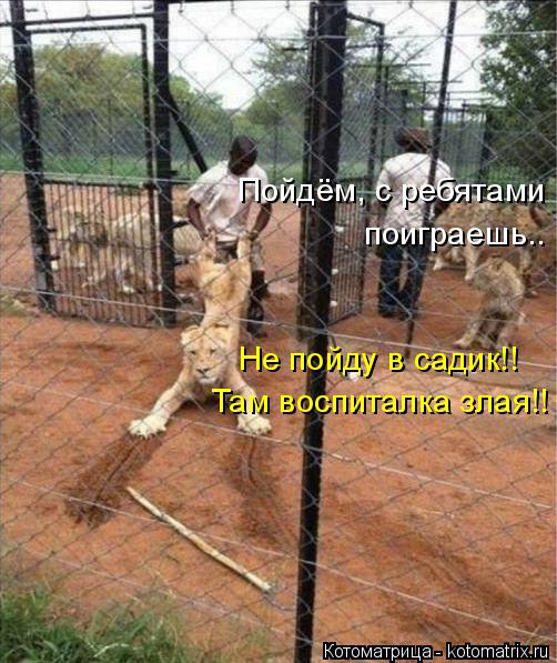 Котоматрица: Пойдём, с ребятами поиграешь.. Не пойду в садик!! Там воспиталка злая!!