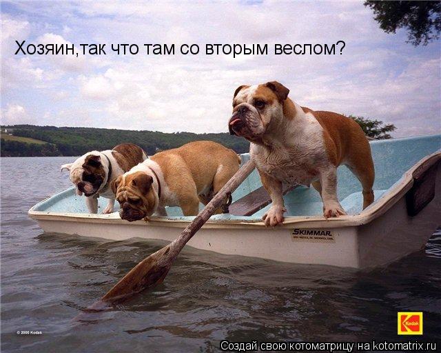 Котоматрица: Хозяин,так что там со вторым веслом?