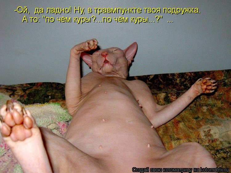 Котоматрица: -Ой,  да ладно! Ну, в травмпункте твоя подружка. А то: "по чём куры?...по чём куры...?"  ...