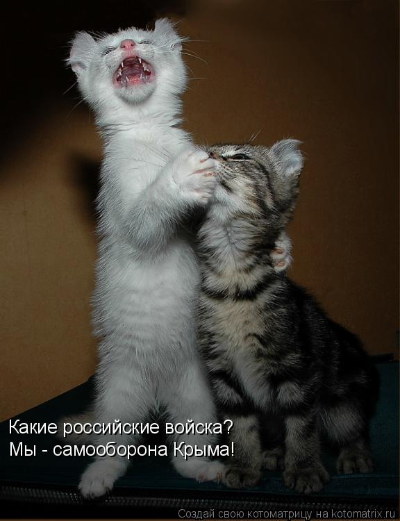 Котоматрица: Какие российские войска? Мы - самооборона Крыма!