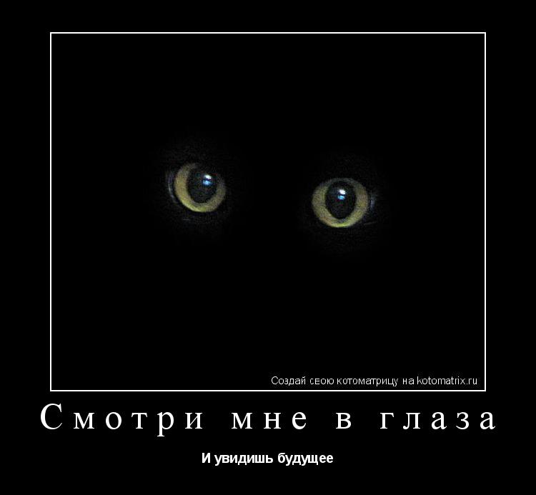 Котоматрица: Смотри мне в глаза И увидишь будущее