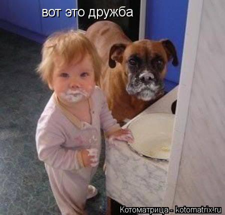 вот это дружба... Котоматрица: вот это дружба