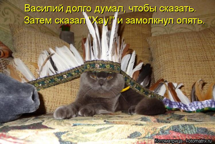 Котоматрица: Затем сказал "Хау!" и замолкнул опять. Василий долго думал, чтобы сказать.