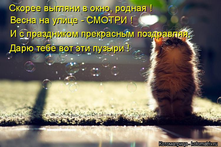 Скорее выгляни в окно, родная ! Весна на улице - СМОТРИ ! И с праздником прекрасным поздравляя, Дарю ... Котоматрица: Скорее выгляни в окно, родная ! Весна на улице - СМОТРИ ! И с праздником прекрасным поздравляя, Дарю тебе вот эти пузыри !