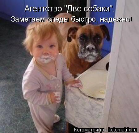 Котоматрица: Агентство "Две собаки". Заметаем следы быстро, надежно!