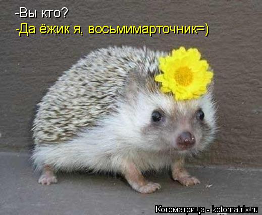 Котоматрица: -Вы кто? -Да ёжик я, восьмимарточник=)