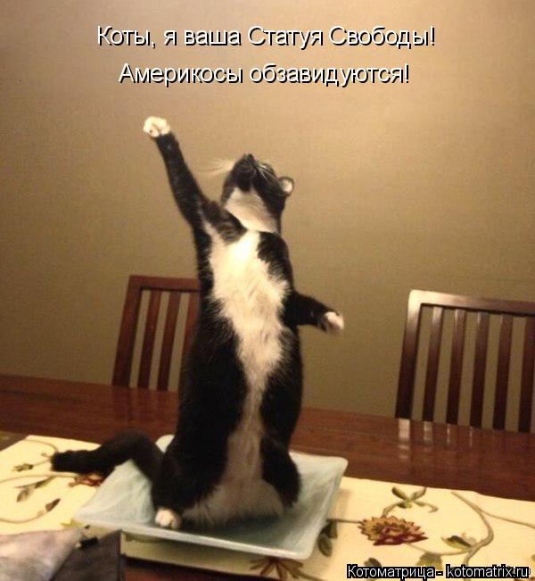 Коты, я ваша Статуя Свободы! Америкосы обзавидуются!... Котоматрица: Коты, я ваша Статуя Свободы! Америкосы обзавидуются!