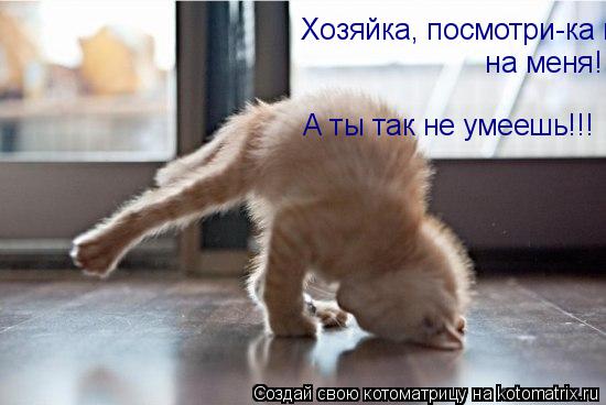 Котоматрица: Хозяйка, посмотри-ка на меня! А ты так не умеешь!!!  на меня!
