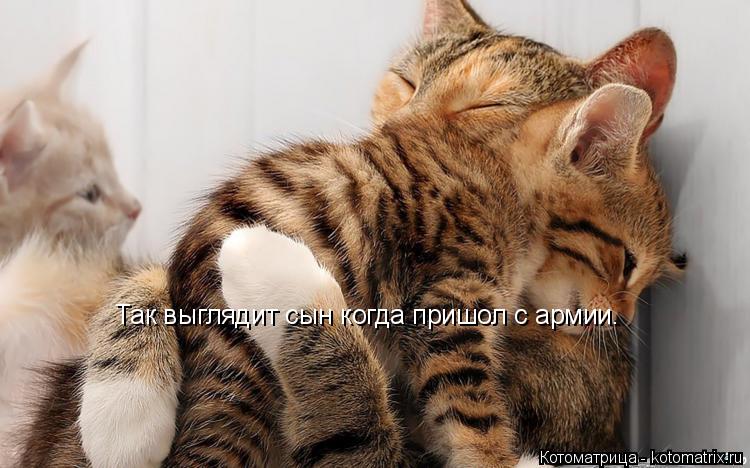 Котоматрица: Так выглядит сын когда пришол с армии.