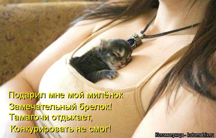 Котоматрица: Подарил мне мой милёнок  Замечательный брелок! Тамагочи отдыхает,  Конкурировать не смог!