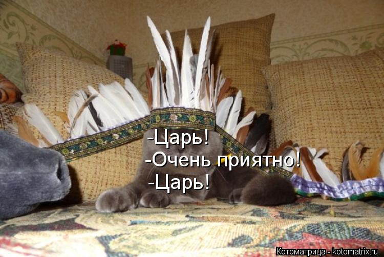 Котоматрица: -Царь! -Очень приятно! -Царь!