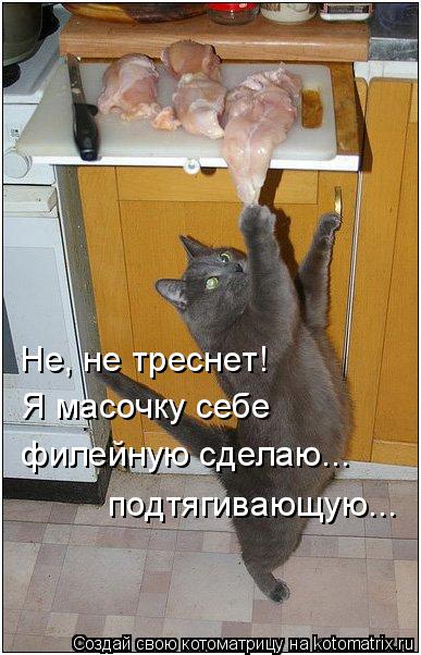 Не, не треснет! Я масочку себе филейную сделаю... подтягивающую...... Котоматрица: Не, не треснет! Я масочку себе филейную сделаю... подтягивающую...
