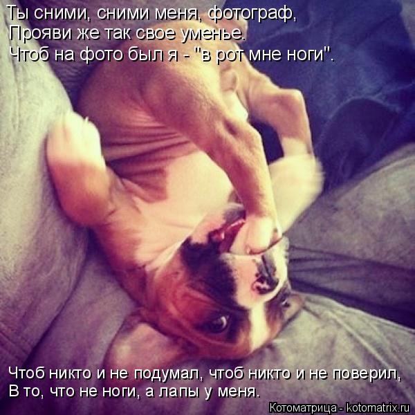 Ты сними, сними меня, фотограф, Прояви же так свое уменье. Чтоб на фото был я - "в рот мне ноги". Что... Котоматрица: Ты сними, сними меня, фотограф, Прояви же так свое уменье. Чтоб на фото был я - "в рот мне ноги". Чтоб никто и не подумал, чтоб никто и не поверил,