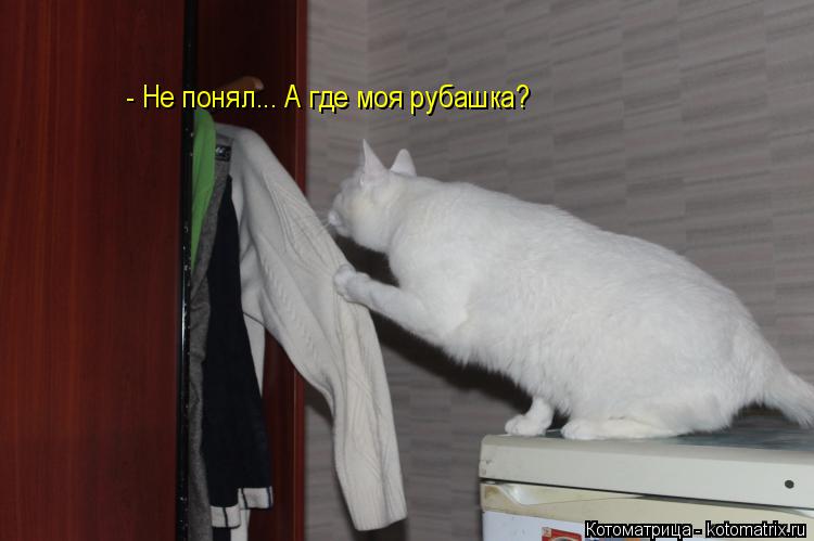 Котоматрица: - Не понял... А где моя рубашка?