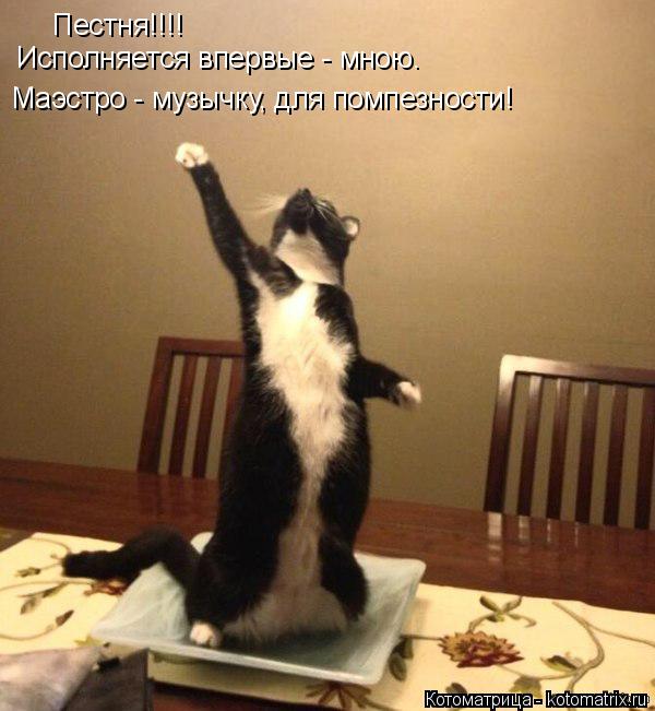 Пестня!!!! Исполняется впервые - мною. Маэстро - музычку, для помпезности!... Котоматрица: Пестня!!!! Исполняется впервые - мною. Маэстро - музычку, для помпезности!