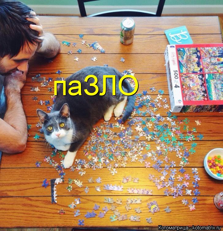 паЗЛО... Котоматрица: паЗЛО