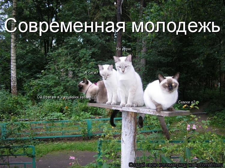 Котоматрица: Ой братан я наушники забыл((( Семки е? А сиги? Не курю. Современная молодежь