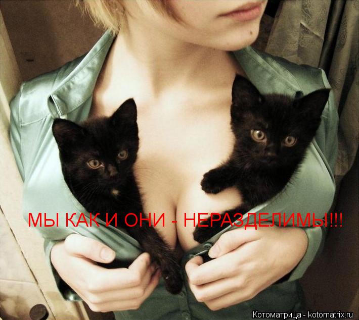 МЫ КАК И ОНИ - НЕРАЗДЕЛИМЫ!!!... Котоматрица: МЫ КАК И ОНИ - НЕРАЗДЕЛИМЫ!!!