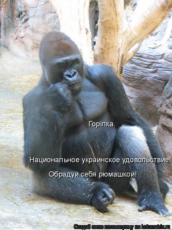 Котоматрица: Горiлка.  Национальное украинское удовольствие! Обрадуй себя рюмашкой!