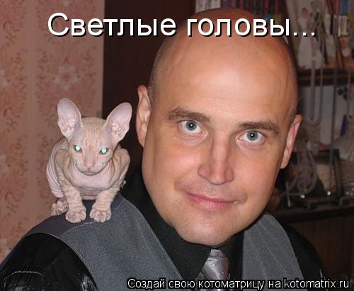 Котоматрица: Светлые головы...
