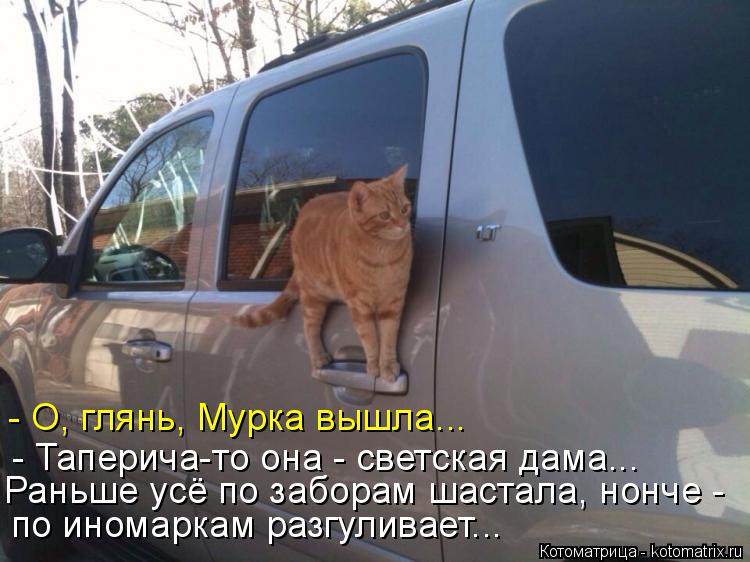 - О, глянь, Мурка вышла... - Таперича-то она - светская дама... Раньше усё по заборам шастала, нонче ... Котоматрица: - О, глянь, Мурка вышла... - Таперича-то она - светская дама... Раньше усё по заборам шастала, нонче - по иномаркам разгуливает...