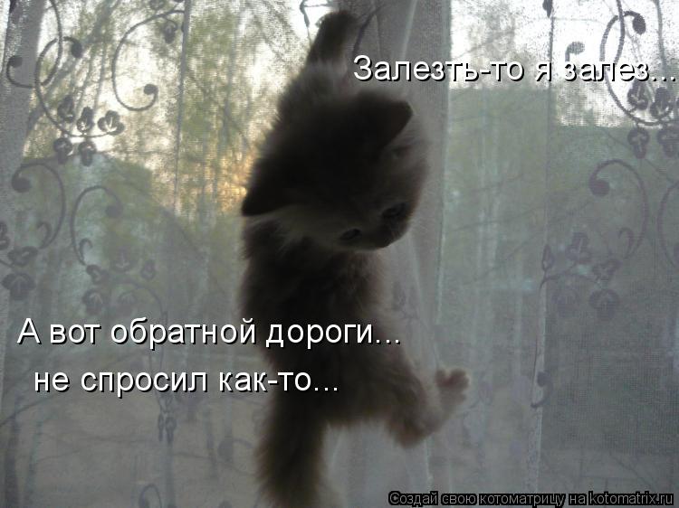 Залезть-то я залез... А вот обратной дороги... не спросил как-то...... Котоматрица: Залезть-то я залез... А вот обратной дороги... не спросил как-то...