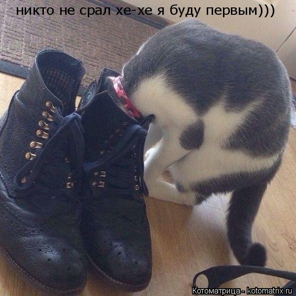 никто не срал хе-хе я буду первым)))... Котоматрица: никто не срал хе-хе я буду первым)))