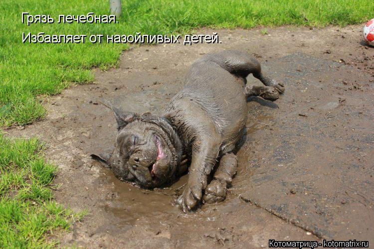Грязь лечебная. Избавляет от назойливых детей.... Котоматрица: Грязь лечебная. Избавляет от назойливых детей.