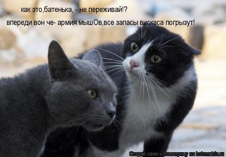 как это,батенька, - не переживай!? впереди вон че- армия мышОв,все запасы вискаса погрызут!... Котоматрица: как это,батенька, - не переживай!? впереди вон че- армия мышОв,все запасы вискаса погрызут!