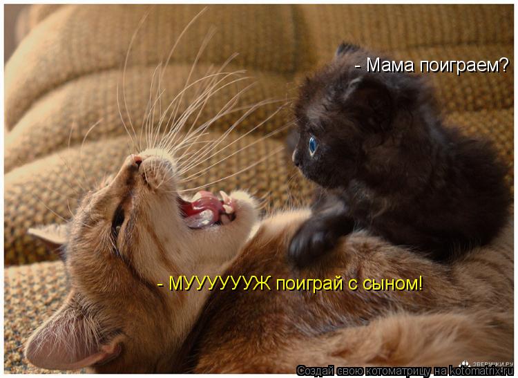 - Мама поиграем? - МУУУУУУЖ поиграй с сыном!... Котоматрица: - Мама поиграем? - МУУУУУУЖ поиграй с сыном!