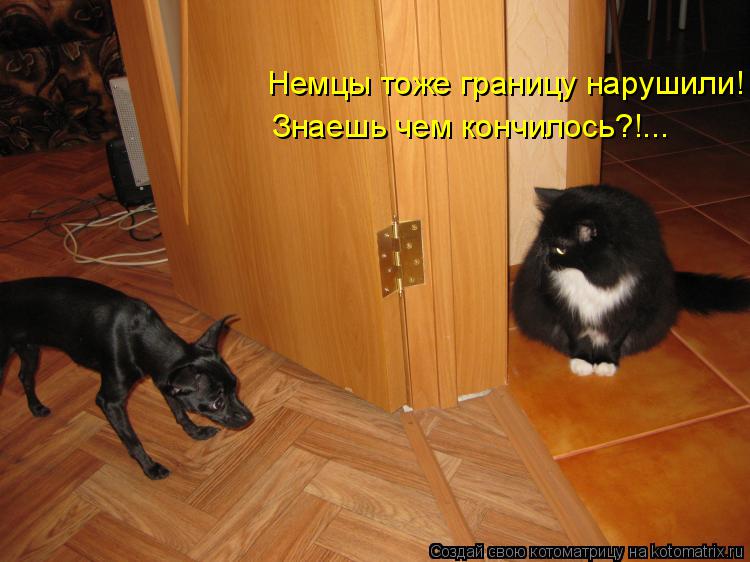 Котоматрица: Немцы тоже границу нарушили! Знаешь чем кончилось?!...