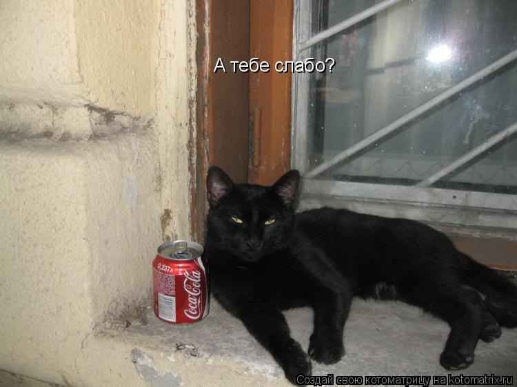 Котоматрица: А тебе слабо?