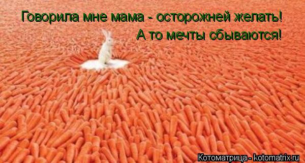 Говорила мне мама - осторожней желать! А то мечты сбываются!... Котоматрица: Говорила мне мама - осторожней желать! А то мечты сбываются!