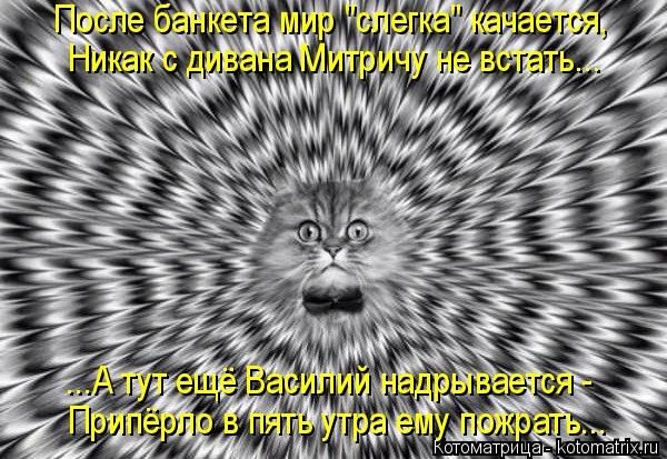 После банкета мир "слегка" качается, Никак с дивана Митричу не встать... ...А тут ещё Василий надрыва... Котоматрица: После банкета мир "слегка" качается, Никак с дивана Митричу не встать... ...А тут ещё Василий надрывается - Припёрло в пять утра ему пожрать...