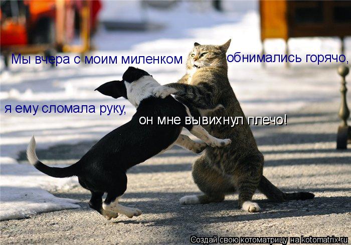 Мы вчера с моим миленком обнимались горячо, я ему сломала руку, он мне вывихнул плечо! он мне выви... Котоматрица: Мы вчера с моим миленком обнимались горячо, я ему сломала руку, он мне вывихнул плечо! он мне вывихнул плечо!