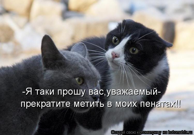 -Я таки прошу вас,уважаемый- прекратите метить в моих пенатах!!... Котоматрица: -Я таки прошу вас,уважаемый- прекратите метить в моих пенатах!!