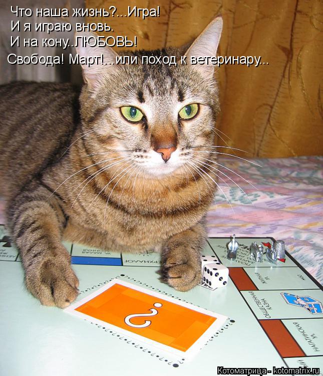 Котоматрица: Что наша жизнь?...Игра! И я играю вновь. И на кону..ЛЮБОВЬ! Свобода! Март!...или поход к ветеринару...