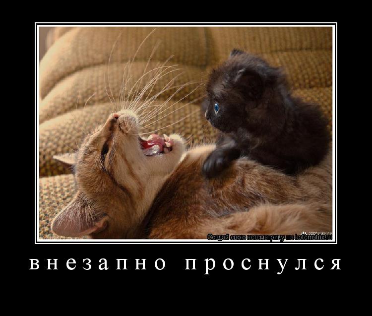 внезапно проснулся ... Котоматрица: внезапно проснулся