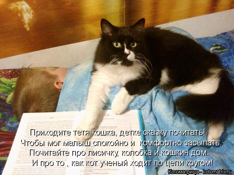 И про то , как кот ученый ходит по цепи кругом! Чтобы мог малыш спокойно и комфортно засыпать. Прихо... Котоматрица: И про то , как кот ученый ходит по цепи кругом! Чтобы мог малыш спокойно и комфортно засыпать. Приходите тетя кошка, детке сказку почитать! П