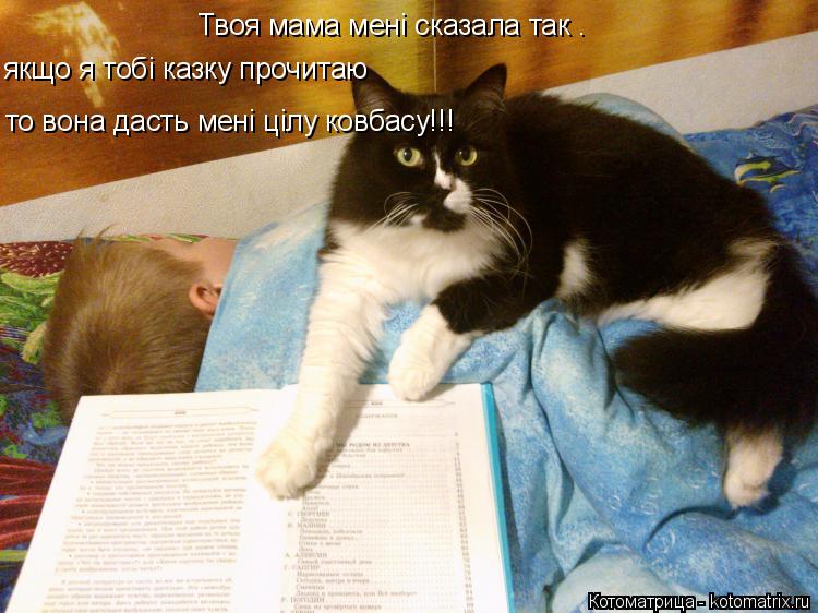 Твоя мама менi сказала так . якщо я тобi казку прочитаю то вона дасть менi цiлу ковбасу!!!... Котоматрица: Твоя мама менi сказала так . якщо я тобi казку прочитаю то вона дасть менi цiлу ковбасу!!!