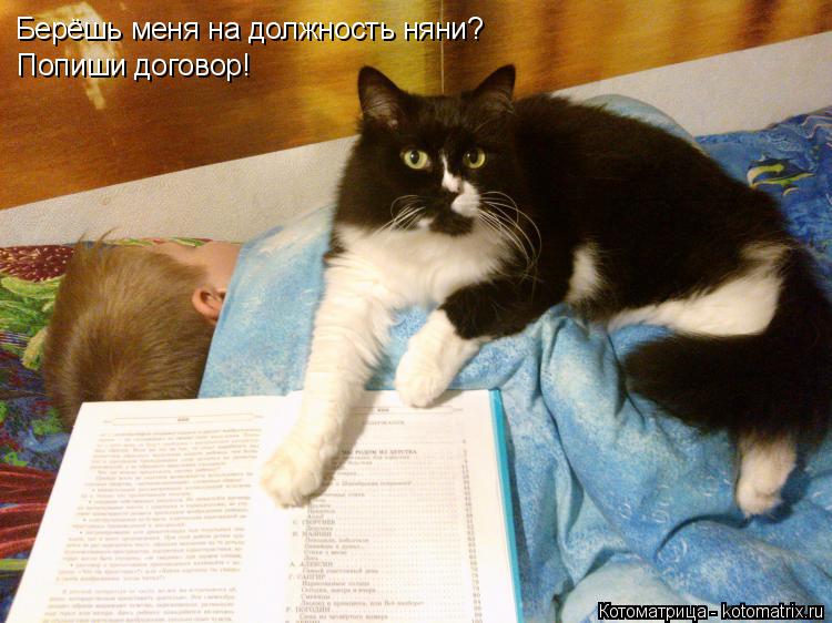 Берёшь меня на должность няни? Попиши договор!... Котоматрица: Берёшь меня на должность няни? Попиши договор!