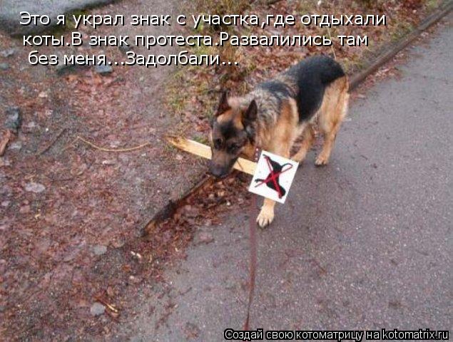 Котоматрица: без меня...Задолбали... коты.В знак протеста.Развалились там Это я украл знак с участка,где отдыхали