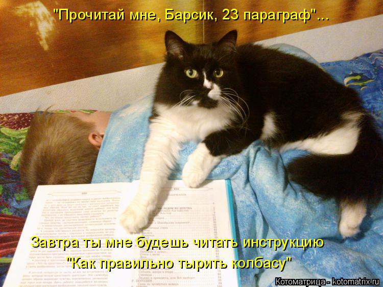 "Прочитай мне, Барсик, 23 параграф"... Завтра ты мне будешь читать инструкцию "Как правильно тырить к... Котоматрица: "Прочитай мне, Барсик, 23 параграф"... Завтра ты мне будешь читать инструкцию "Как правильно тырить колбасу"
