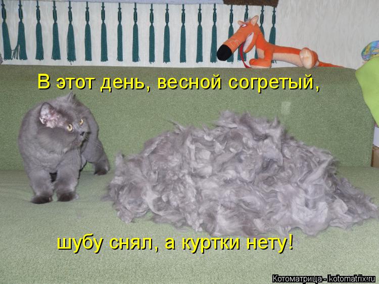 Котоматрица: В этот день, весной согретый, шубу снял, а куртки нету!