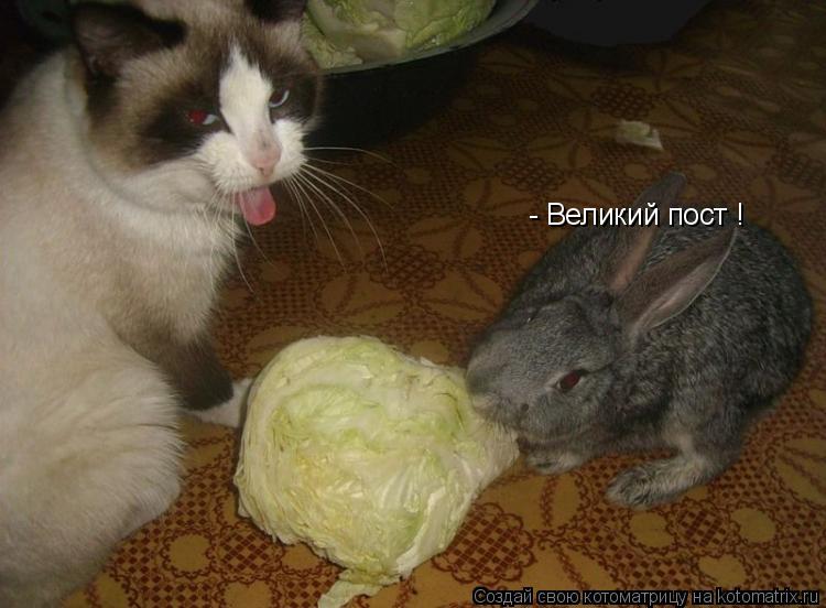 - Великий пост !... Котоматрица: - Великий пост !