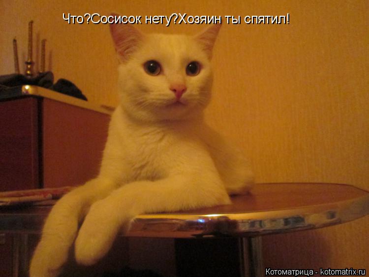 Что?Сосисок нету?Хозяин ты спятил!... Котоматрица: Что?Сосисок нету?Хозяин ты спятил!